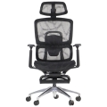 ErgoNew A1F z podnóżkiem