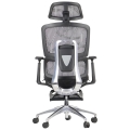 ErgoNew A1F z podnóżkiem