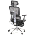 ErgoNew A1F z podnóżkiem