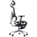 ErgoNew A1F z podnóżkiem