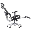 ErgoNew A1F z podnóżkiem